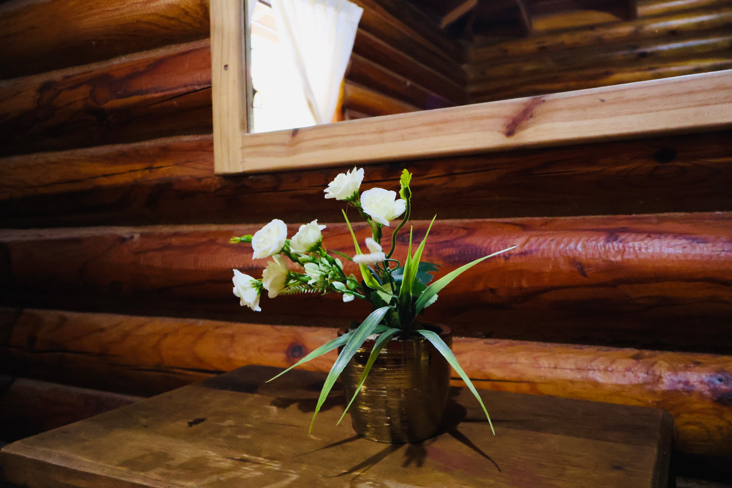 Cabaña 2 – Montreal