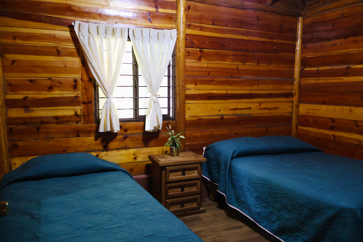 Cabaña 3 – Ottawa