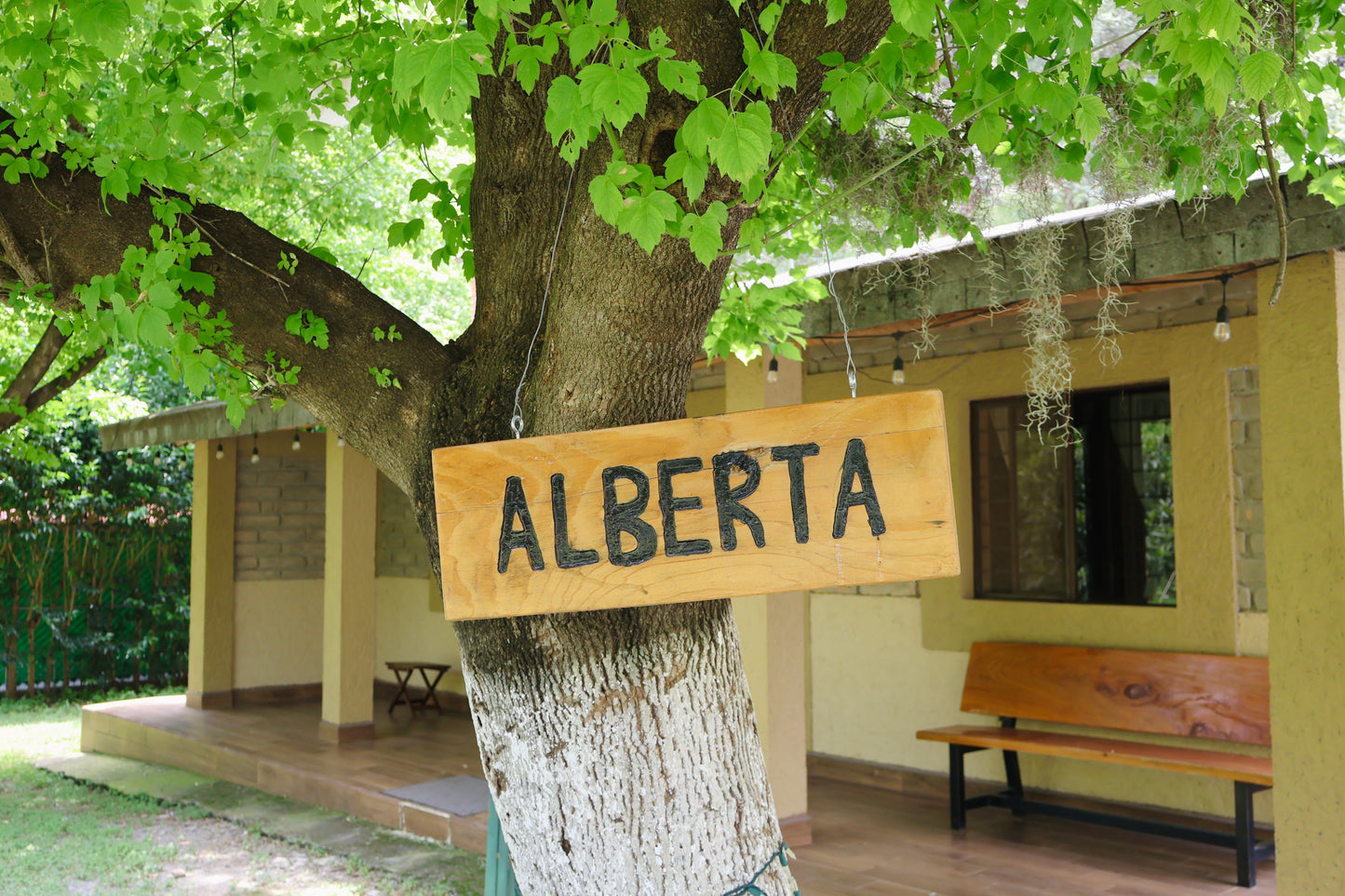 Cabaña 1 – Alberta